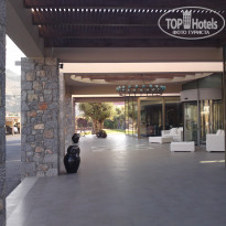 фото из отзыва ID 363145