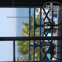 фото из отзыва ID 363177