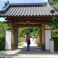 фото из отзыва ID 363239