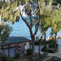 фото из отзыва ID 363342