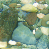 фото из отзыва ID 363342