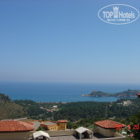 фото из отзыва ID 363450