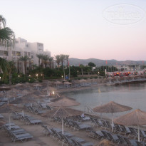 фото из отзыва ID 363664