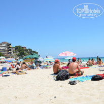 фото из отзыва ID 363929