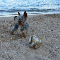 фото из отзыва ID 363929