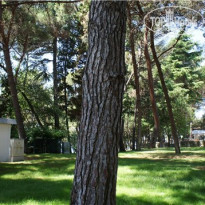 фото из отзыва ID 363656