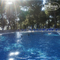 фото из отзыва ID 363656