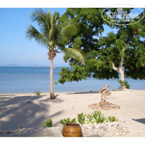 фото из отзыва ID 36419