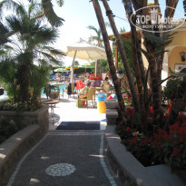 фото из отзыва ID 364932