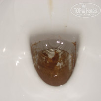 фото из отзыва ID 365106