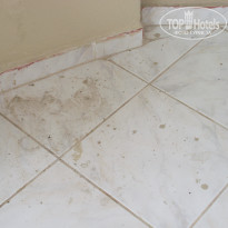 фото из отзыва ID 365106