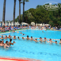 фото из отзыва ID 365367