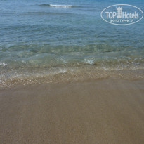 фото из отзыва ID 365653