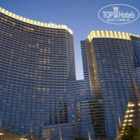 фото из отзыва ID 365740