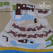 фото из отзыва ID 365869