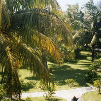 фото из отзыва ID 365985