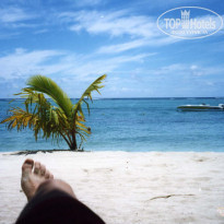 фото из отзыва ID 365985