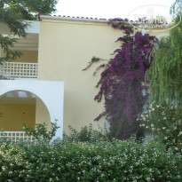 фото из отзыва ID 365653