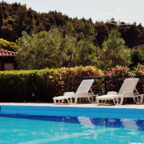 фото из отзыва ID 366188