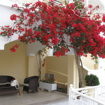 фото из отзыва ID 366609