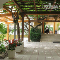 фото из отзыва ID 366609