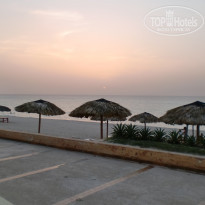 фото из отзыва ID 366796