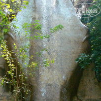 фото из отзыва ID 366924