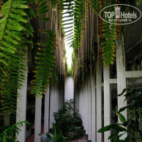 фото из отзыва ID 367375