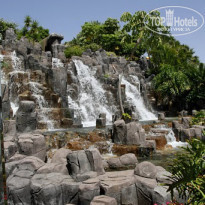 фото из отзыва ID 367375