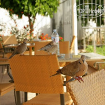 фото из отзыва ID 367375