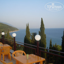 фото из отзыва ID 368049