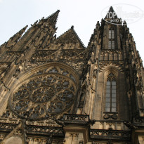 фото из отзыва ID 368277