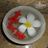 фото из отзыва ID 369062