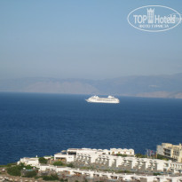 фото из отзыва ID 369258