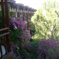 фото из отзыва ID 369397