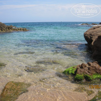 фото из отзыва ID 370285