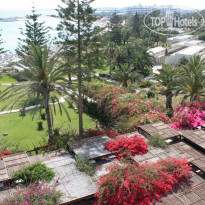 фото из отзыва ID 370819