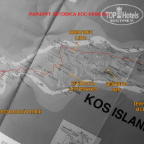 фото из отзыва ID 370913