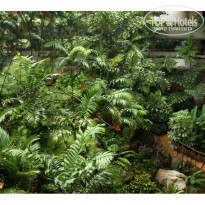 фото из отзыва ID 37135