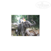 фото из отзыва ID 37174