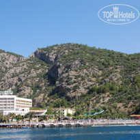 фото из отзыва ID 371483