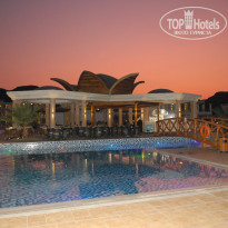 фото из отзыва ID 371896