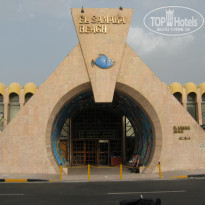 фото из отзыва ID 37249