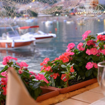 фото из отзыва ID 372107