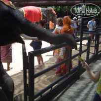 фото из отзыва ID 372580