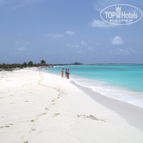 фото из отзыва ID 372821