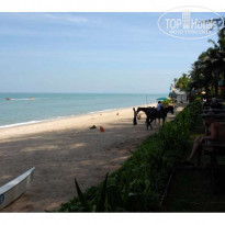 фото из отзыва ID 37388