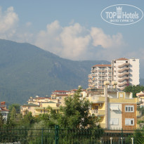 фото из отзыва ID 373157