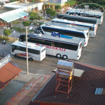 фото из отзыва ID 373334