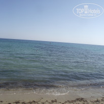 фото из отзыва ID 373461